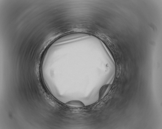 X0000112100098200909011133