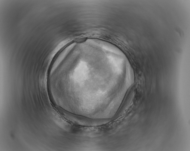 X0000112100100200909011133