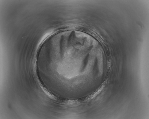 X0000112100101200909011133
