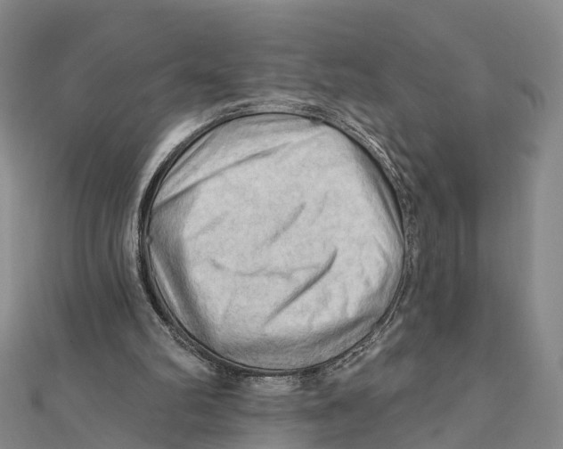X0000112100102200909011133