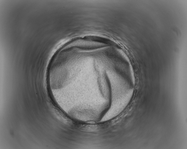 X0000112100104200909011133