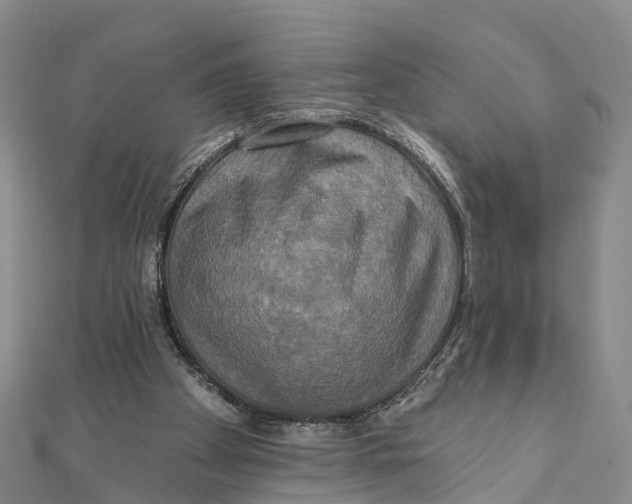 X0000112100105200909011133