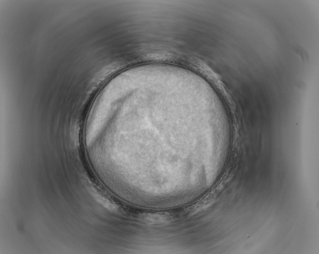 X0000112100106200909011133