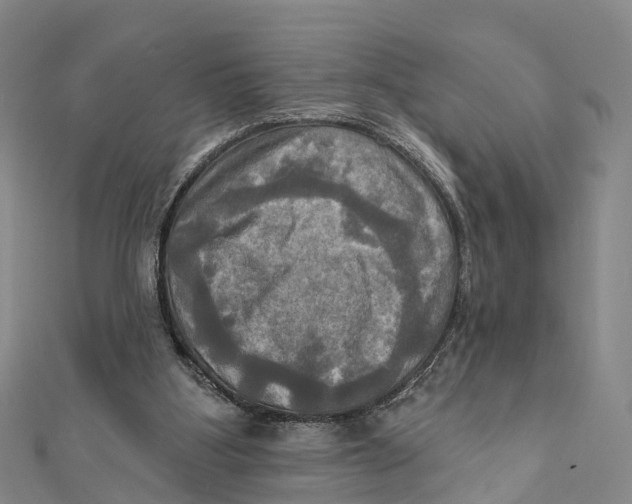 X0000112100107200909011133
