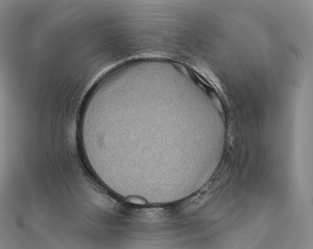 X0000112100108200909011133
