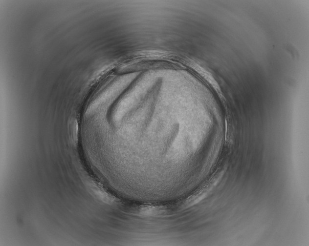 X0000112100109200909011133