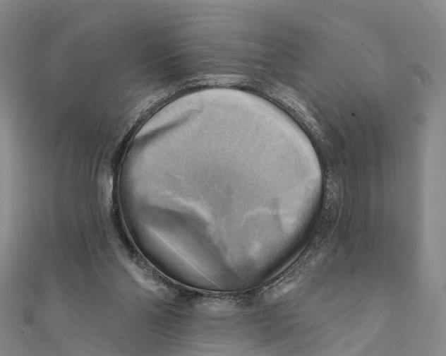 X0000112100110200909011133