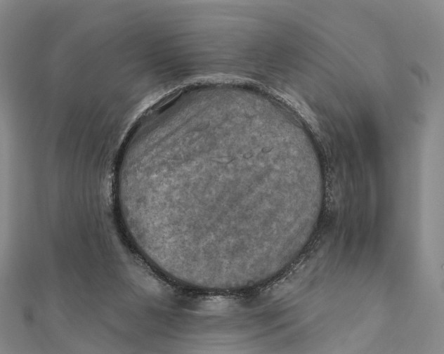 X0000112100111200909011133