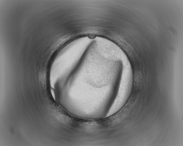 X0000112100112200909011133