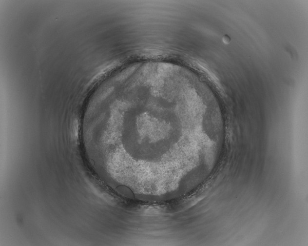 X0000112100115200909011132