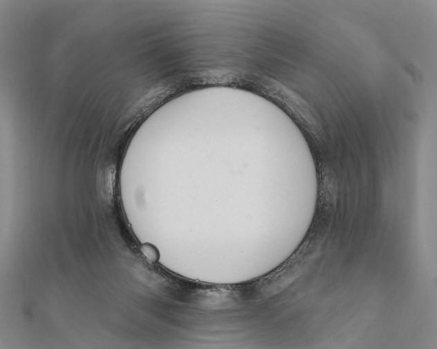 X0000112100118200909011132