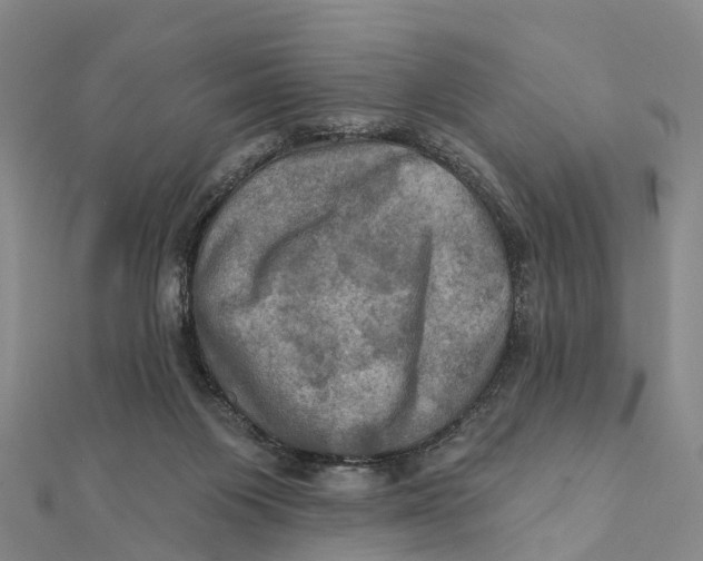 X0000112100119200909011132