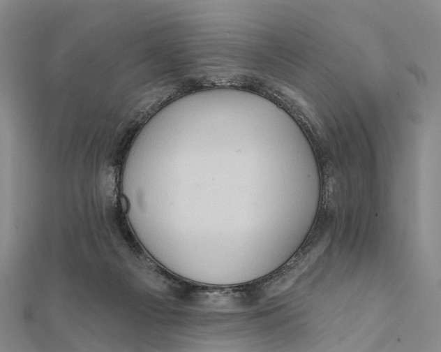 X0000112100121200909011132