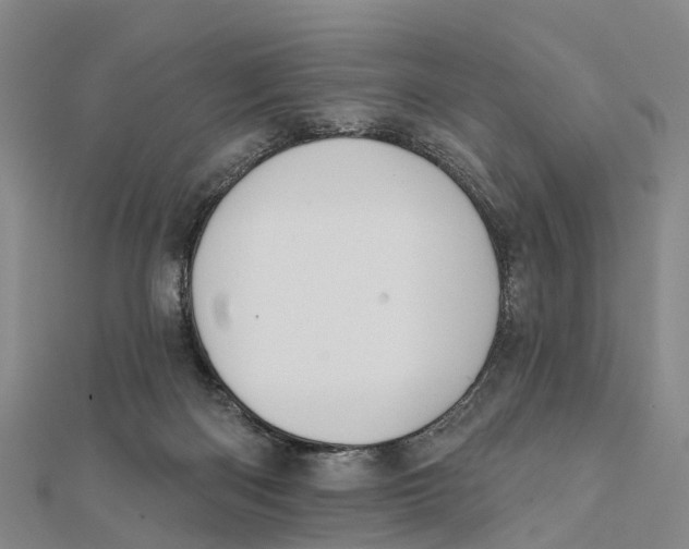 X0000112100122200909011132