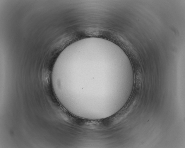 X0000112100125200909011132