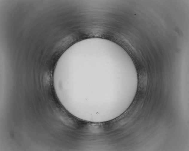 X0000112100126200909011132