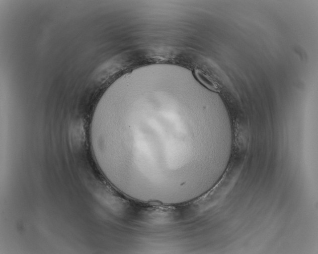X0000112100128200909011132