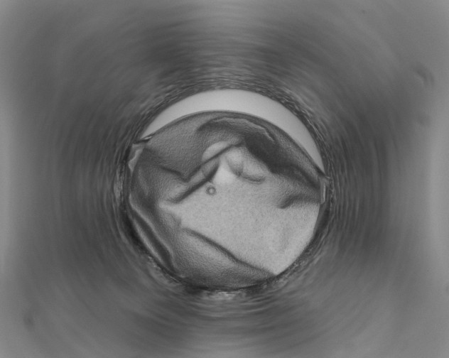 X0000112100129200909011132