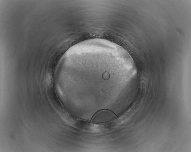 X0000112100130200909011132