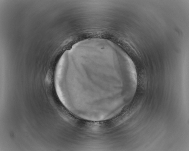 X0000112100131200909011132
