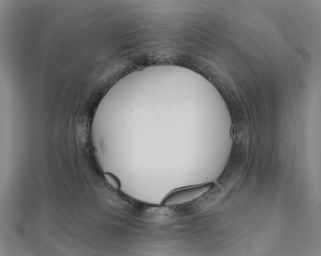 X0000112100133200909011132