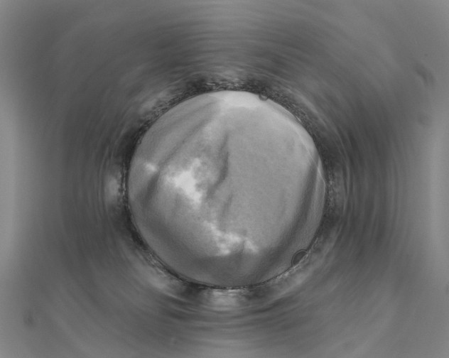 X0000112100134200909011132