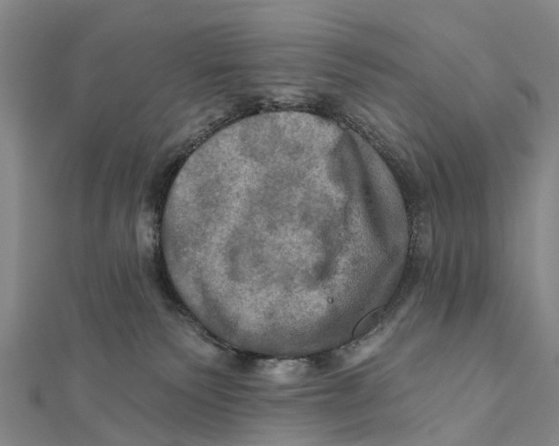 X0000112100135200909011132
