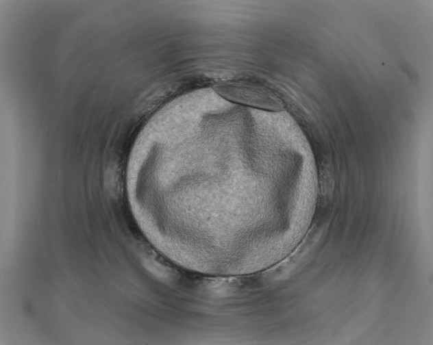 X0000112100136200909011132