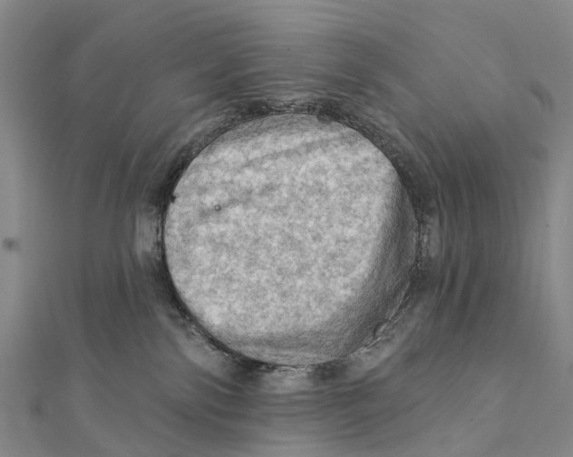 X0000112100138200909011132