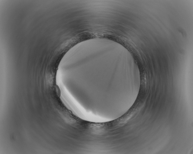 X0000112100139200909011132