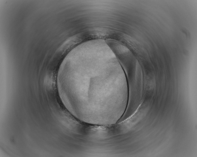 X0000112100140200909011132