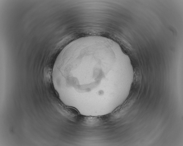 X0000112100141200909011132