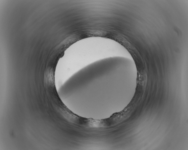 X0000112100143200909011132