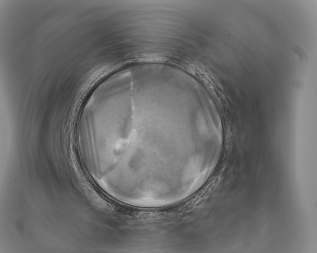 X0000112100145200909011132