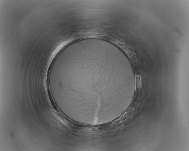 X0000112100147200909011132