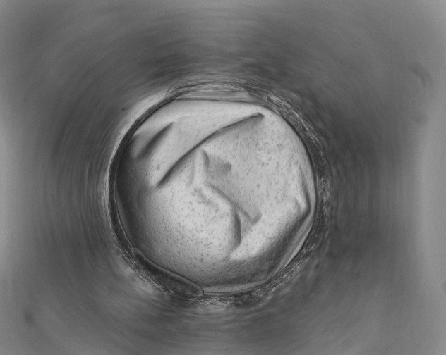 X0000112100148200909011132