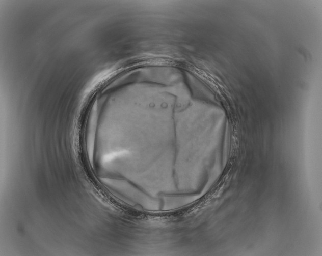 X0000112100149200909011132