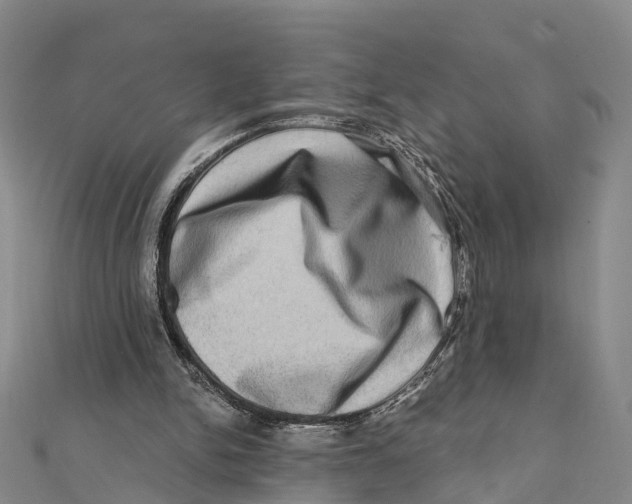 X0000112100150200909011132