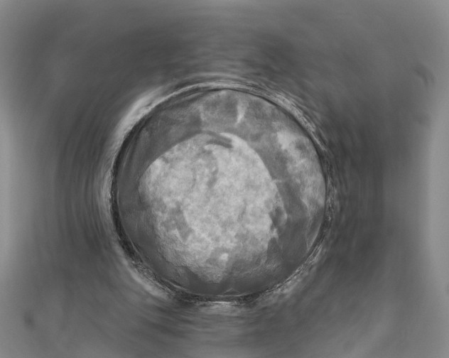 X0000112100151200909011132