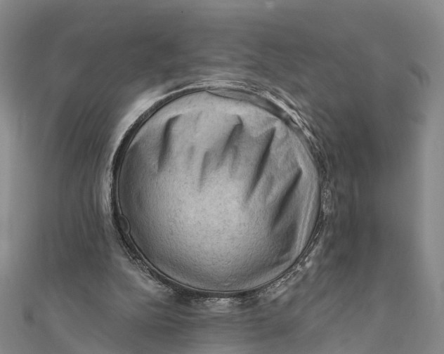 X0000112100152200909011132