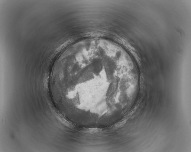 X0000112100153200909011132