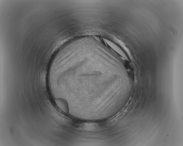 X0000112100154200909011132