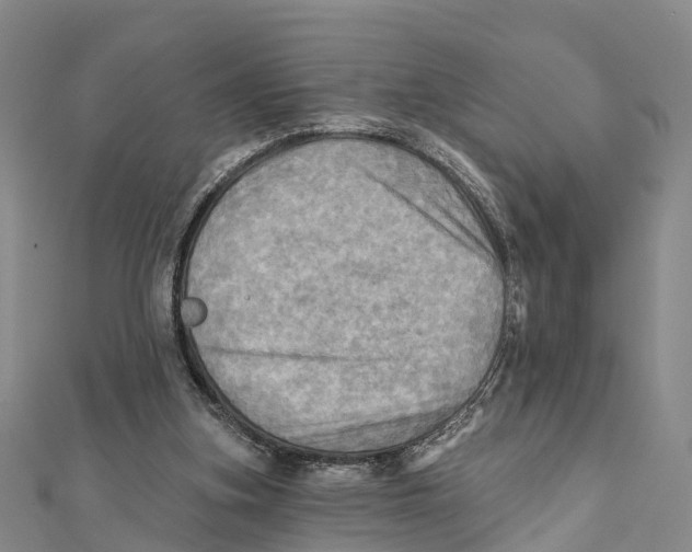 X0000112100155200909011132