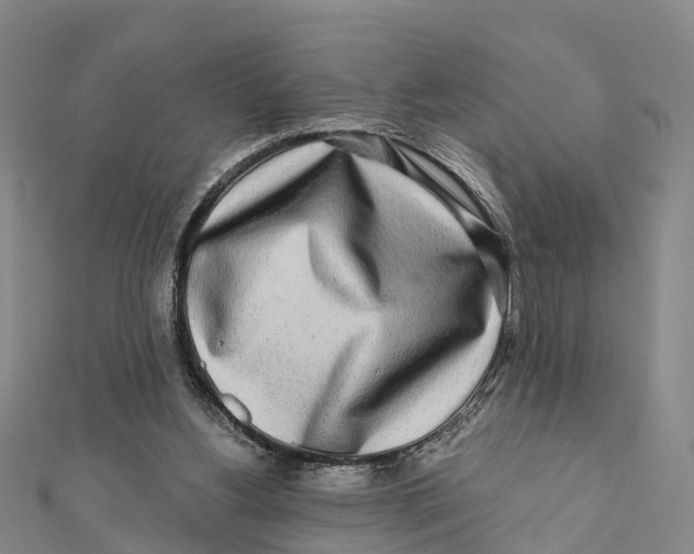 X0000112100156200909011132