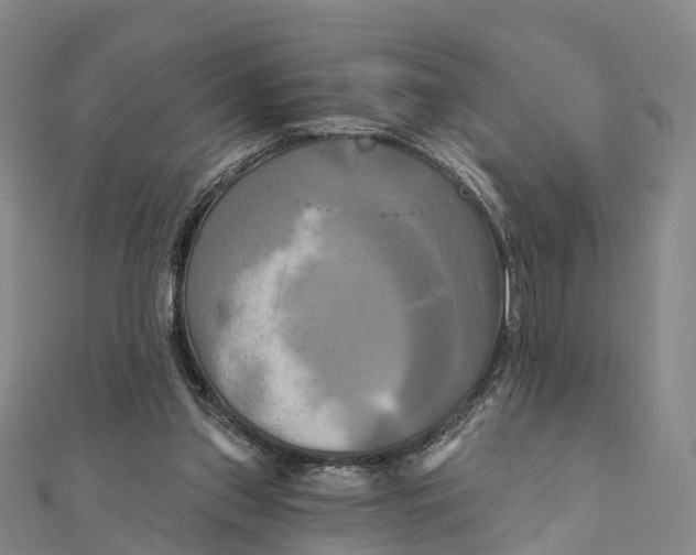 X0000112100157200909011132
