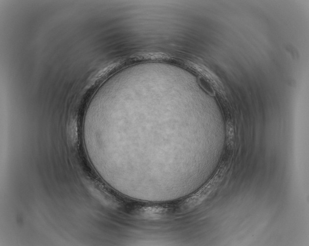 X0000112100158200909011132
