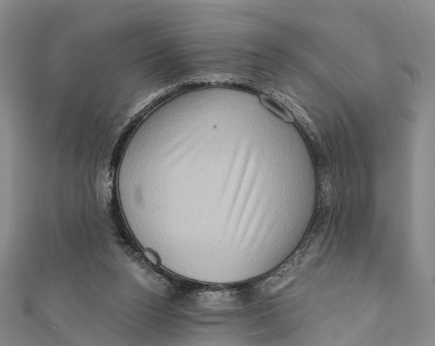 X0000112100160200909011132