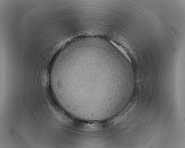 X0000112100164200909011132