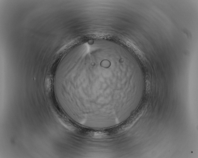 X0000112100165200909011132