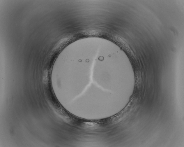 X0000112100167200909011132